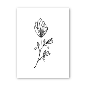 Botanical Sketch 1